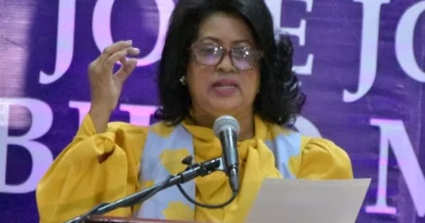 Cristina Lizardo rechaza propuesta de reducción a presupuesto de partidos