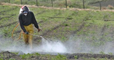 Estresores invisibles: la amenaza que degrada nuestros ríos
