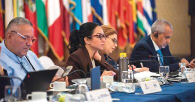 Faride Raful propone alianza entre sectores para combatir drogas