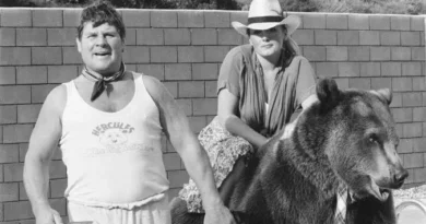 Hércules, el oso que encontró su hogar en una familia dominicana