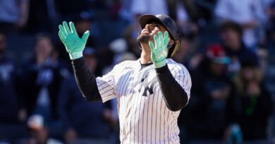 Jasson Domínguez demuestra su talento para brillar en las GL