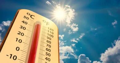 Jueves soleado y caluroso: sensación térmica en aumento