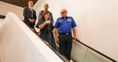 Raquel Peña regresa al país tras exitosa agenda internacional