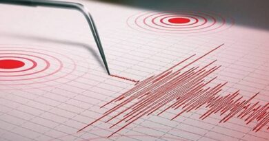 Terremoto de 7,4 grados impacta el sur de México hoy
