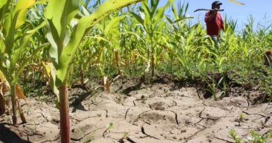 Cambio climático amenaza la producción agropecuaria en RD