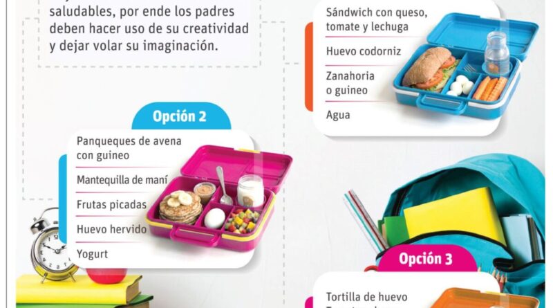 Lonchera escolar: esencial para salud y rendimiento infantil