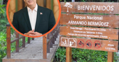 Abinader advierte penas de hasta 30 años a quienes afecten parques nacionales