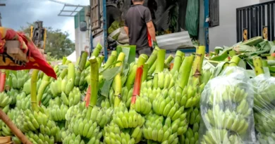 Alza de combustibles preocupa al transporte de alimentos