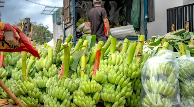 Alza de combustibles preocupa al transporte de alimentos